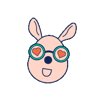 Rooteam 袋鼠金融 roocash mrroo 袋鼠 Sticker
