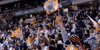 flag GIF by Wests Tigers