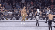 Cody Rhodes Pentagon GIF by All Elite Wrestling on TNT