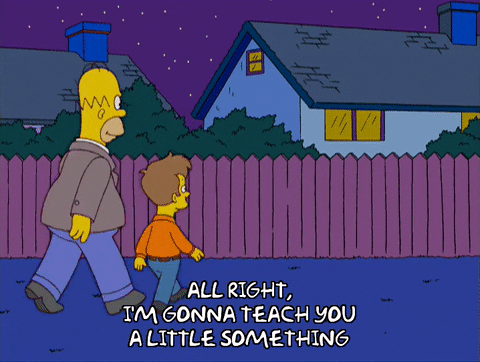 homer simpson GIF