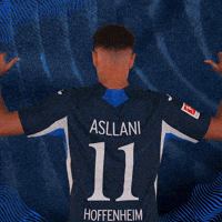 Sport Bundesliga GIF by TSG Hoffenheim
