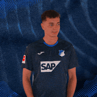 Sport Bundesliga GIF by TSG Hoffenheim