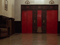 blood #bloody #the shining  #elevator GIF