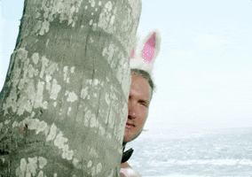 Peek-A-Boo Easter GIF by Paradise Hotel SE
