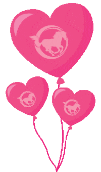Pink Valentine Sticker by Mustang Cheer