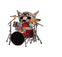 Cat Kitty Sticker