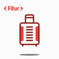 Travel Trip GIF by IFEMA