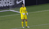 Womens Soccer Ugh GIF by National Women's Soccer League