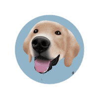 Golden Retriever Cute Dog Sticker