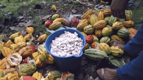 Ingemann giphyupload GIF
