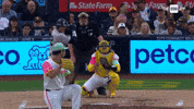 Lets Go Baseball GIF by YES Network
