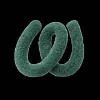 Fellows GIF by Foreigners.cz