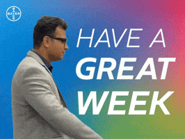 Lets Go Wishes GIF by Bayer