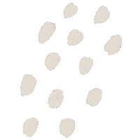 Drawing Line Sticker