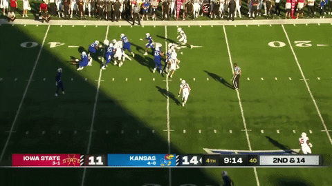 DBSports giphygifmaker GIF