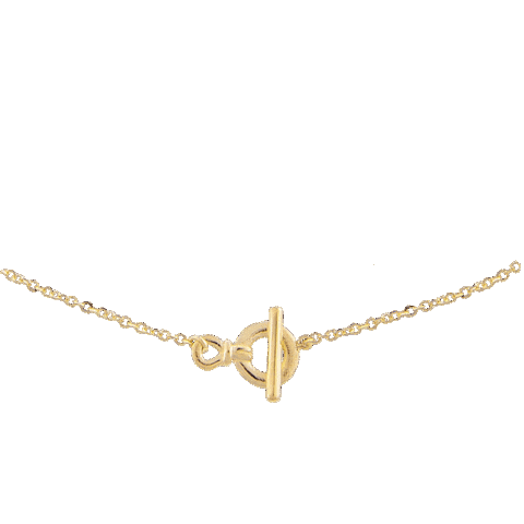 Jewelry Necklace Sticker by Adinas Jewels