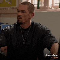 episode 2 showtime GIF by Shameless