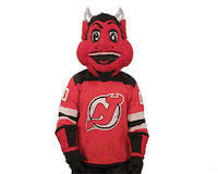 Ice Hockey Sticker by NHL