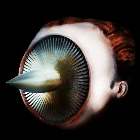 GIF by Alex Boya
