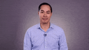 Endorse Elizabeth Warren GIF
