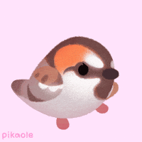 You Got This Bird GIF by pikaole