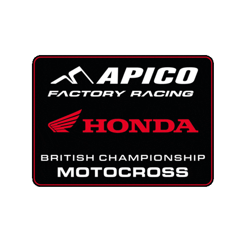 Honda Racing Sticker by ApicoFactoryRacing