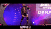Mixed Martial Arts Fight GIF by Indiecan Entertainment Inc.