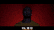 Mixed Martial Arts Fight GIF by Indiecan Entertainment Inc.