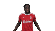 Happy Football Sticker by Nottingham Forest
