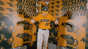 Baseball Bison GIF by NDSU Athletics
