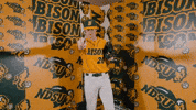 Baseball Bison GIF by NDSU Athletics