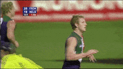freodockers fremantle dockers freo fremantle dockers GIF