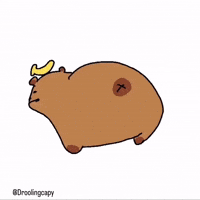 Droolingcapy dance shake twerk butt GIF