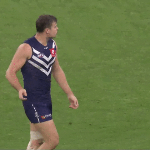 Sean Darcy GIF by Fremantle Dockers