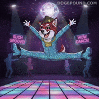 Happy Dance GIF by Doge Pound