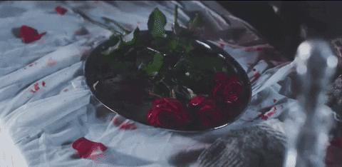 boydestroy giphygifgrabber music video drunk brunch GIF