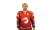 Ice Hockey Sticker Sticker by HC Oceláři Třinec