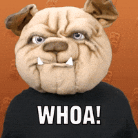 Double Take Dog GIF by MUG ROOT BEER