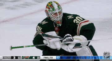 Happy Minnesota Wild GIF by NHL