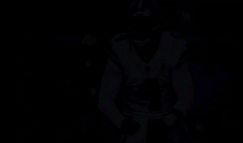 Championship GIF by The Undroppables