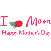 Mothers Day Mom Sticker by Star Roses and Plants