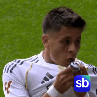 Football Futbol GIF by Sporbulteni