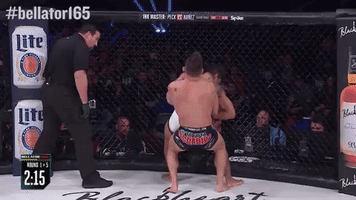 GIF by Bellator