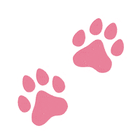 Kitty Kitten Sticker by Egirl Peach