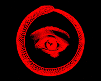 Eye Snake GIF by DB&BAR