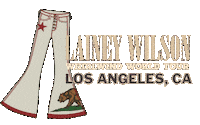 Los Angeles California Sticker by Lainey Wilson