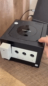 Nintendo Gamer GIF