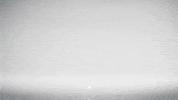 short film gravity is dead GIF by Digg