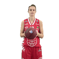 Basketball Sticker by Use Basket