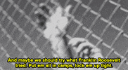 music video lol GIF